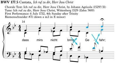 BWV177_5_VC_color.jpg