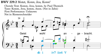 BWV229_Unusual.jpg