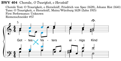 BWV404_VC_color.jpg